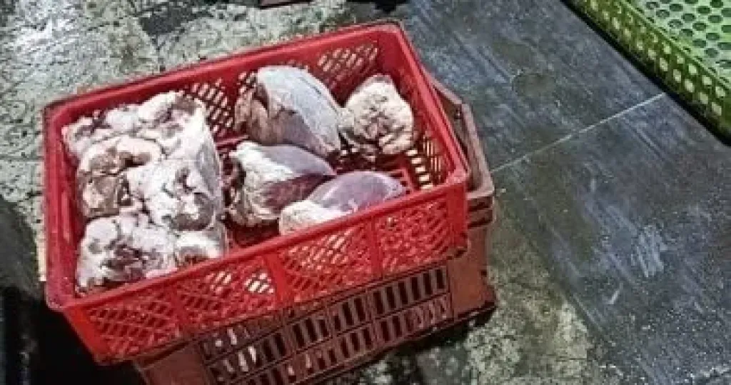 ضبط 8.6 طن لحوم ودواجن غير صالحة للاستهلاك الآدمى خلال أسبوع فى الجيزة