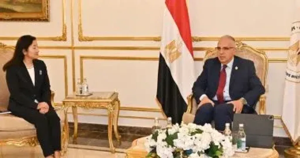 وزير الرى يلتقى الممثل المقيم لبرنامج الأمم المتحدة الإنمائى فى مصر