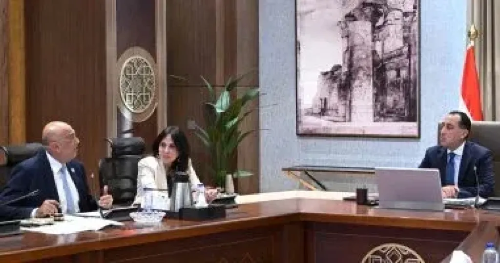 رئيس الوزراء يتابع جهود جهاز تنمية المشروعات الصغيرة بالمحافظات الحدودية