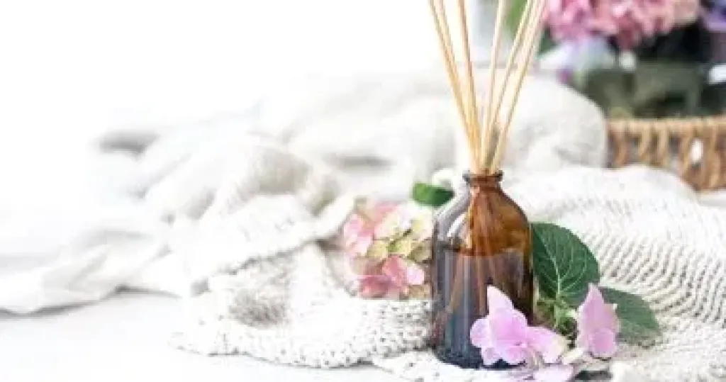 6 معطرات جو طبيعية لكل غرفة فى المنزل.. روائح منعشة وآمنة تدوم طويلاً