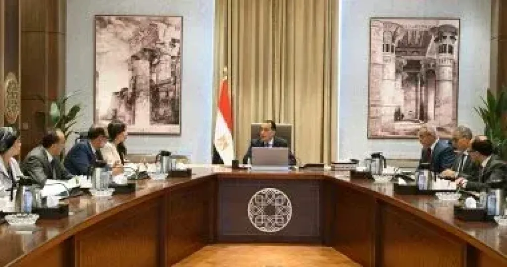 الحكومة: 4.9 مليار جنيه لتمويل المشروعات الصغيرة بالمحافظات الحدودية