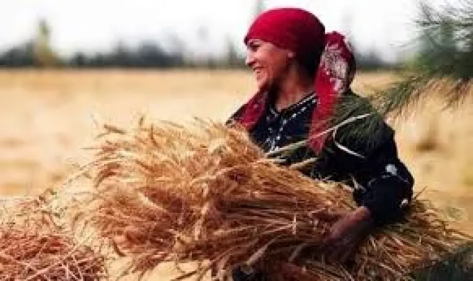اليوم العالمى للمرأة الريفية.. اعرف معانى أشهر رسومات وشوم الريفيات