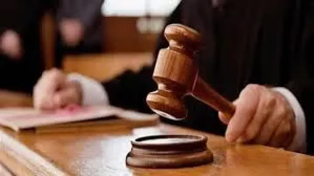 تأجيل محاكمة 29 متهما بخلية الهيكل الإداري بالهرم لجلسة 12 يناير القادم