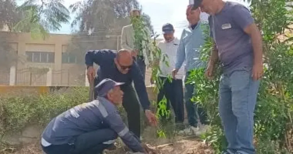 حملة لزراعة الأشجار بدسوق ضمن المبادرة الرئاسية 100 مليون شجرة