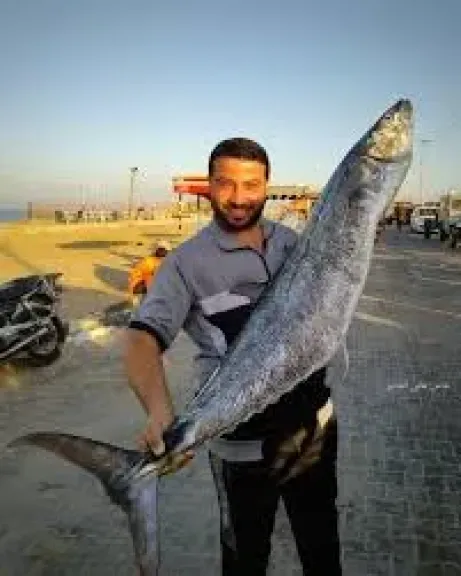 سمكة غزة
