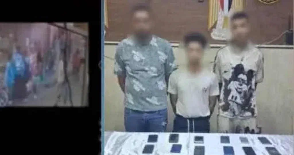 لصان سرقا هاتف طالب في عين شمس