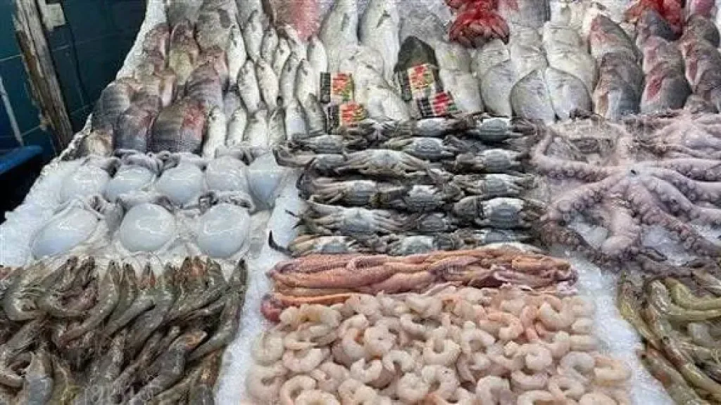 سعر السمك اليوم