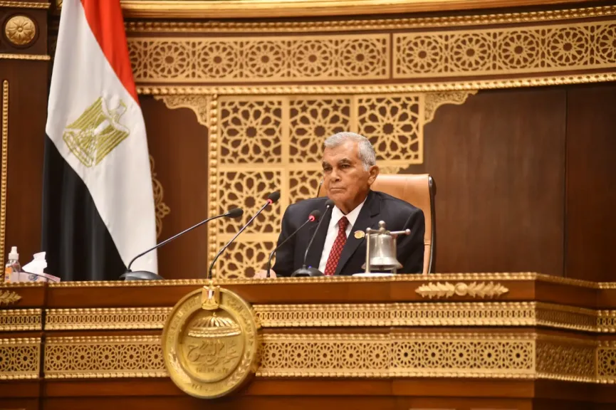 السيرة الذاتية للمستشار عصام  فريد رئيس المجلس الشيوخ