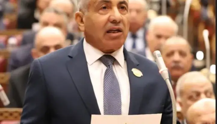 تأكيدًا لانفراد ”بوابة الدولة الأخبارية”.. النائب اللواء أحمد العوضي وكيلا لمجلس الشيوخ