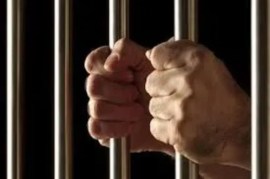 أمن القليوبية يضبط عاطلا لاتجاره بالمخدرات في الشارع بشبرا الخيمة