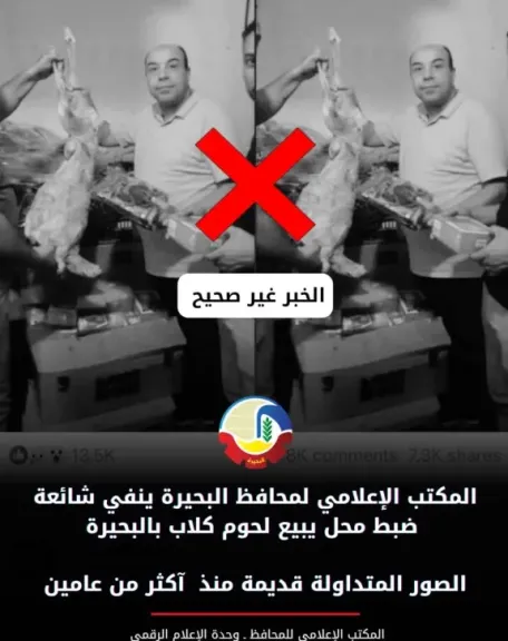الصور المتداولة قديمة .. إعلام البحيرة ينفي شائعة ضبط محل يبيع لحوم كلاب بالبحيرة