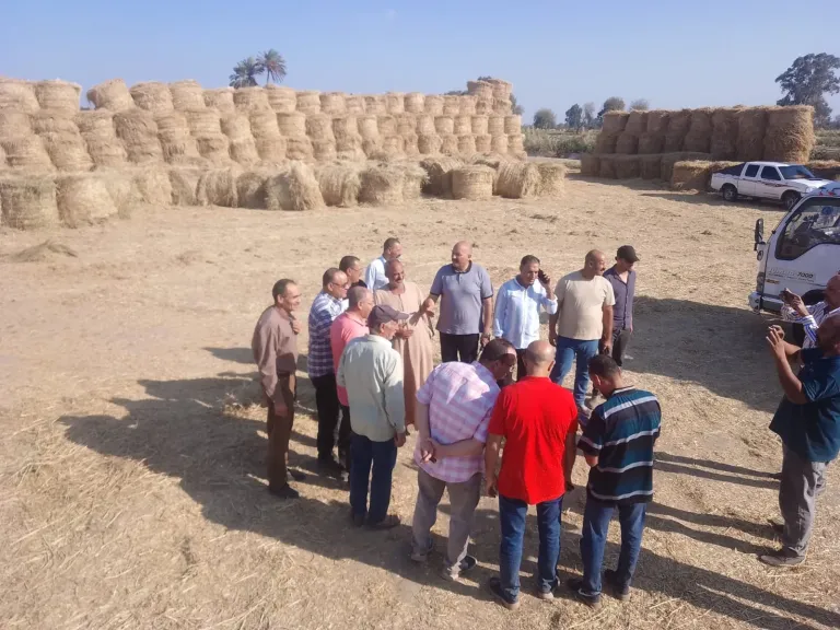 محافظة البحيرة تواصل تنفيذ خطتها الشاملة للتصدي لمصادر التلوث وتعظيم الاستفادة من المخلفات الزراعية