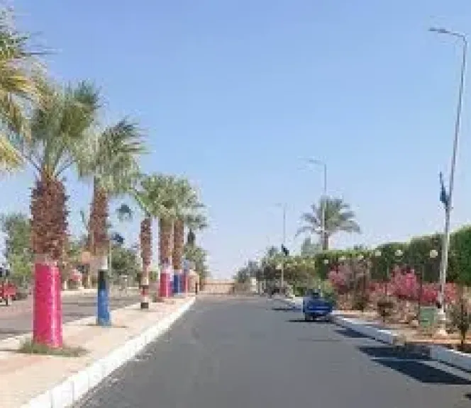 استعدادات مكثفة في أبو سمبل لاستقبال ظاهرة تعامد الشمس النادرة