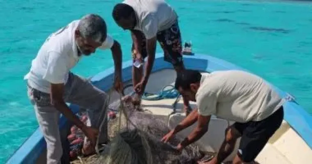 حملة مكثفة لإزالة شباك الصيد من محمية الجزر الشمالية بالبحر الأحمر.. تفاصيل