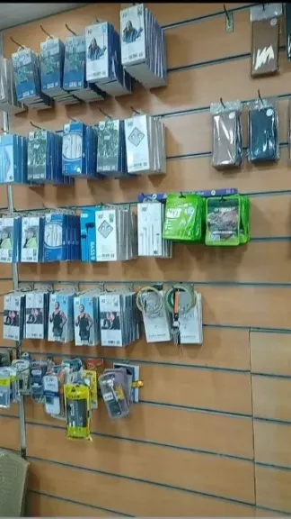 محافظ المنيا: مبادرة ”مشروعك” تتيح فرص تمويل ميسرة لدعم وتمكين الشباب اقتصاديًا
