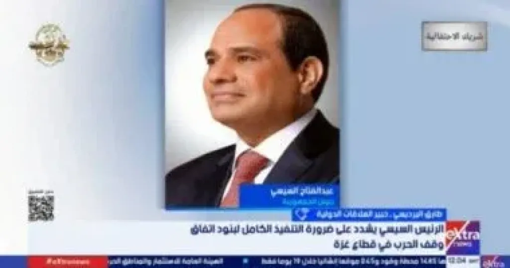 خبير: مصر تضع القضية الفلسطينية على أولوية أجنداتها فى سياستها الخارجية