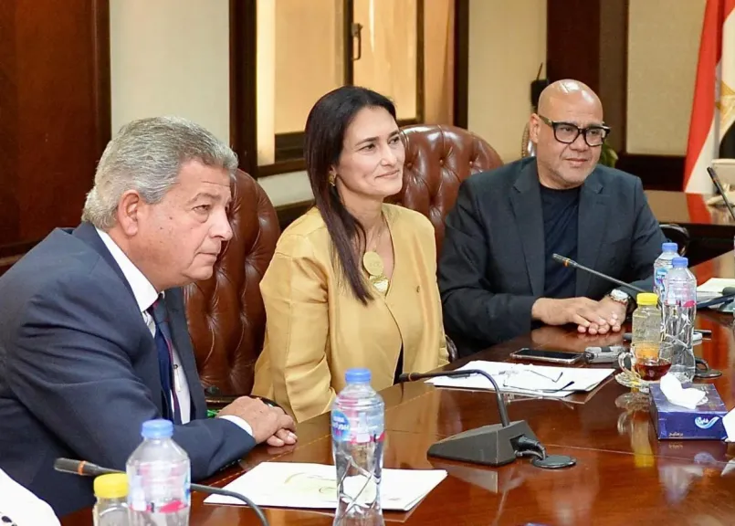 أختيار زكي عبدالحميد رئيسًا للجنة التمويل والدعم الاقتصادي لتطوير الإعلام.. ودينا عثمان مقررًا