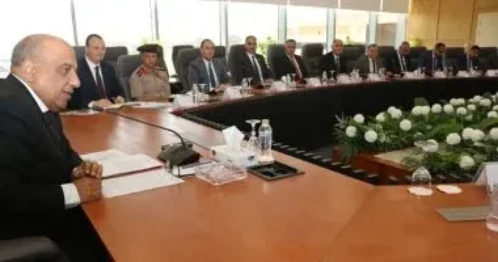 وزير الكهرباء: إقامة بنية مؤسسية قوية لإدارة المشروعات النووية السلمية