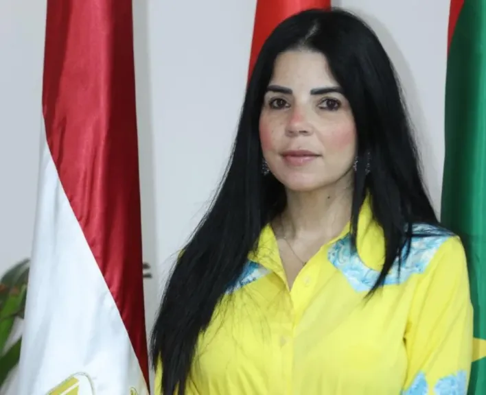 التعليم العالي: تجديد ندب الدكتورة نيفين محمد الصغير للعمل مستشارًا للتسويق والعلاقات العامة