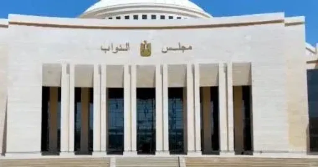 القضاء الإدارى يرفض 45 طعنا ويقبل 3 على الاستبعاد من الترشح لانتخابات النواب