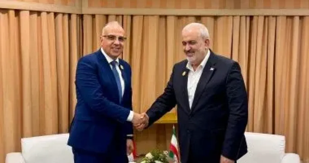 وزير الرى يلتقى وزير الطاقة الإيراني فى السعودية