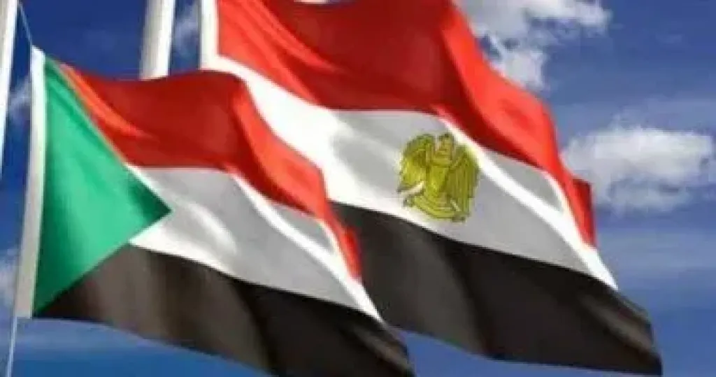 انطلاق الورشة الثانية حول إعادة إعمار السودان والربط اللوجستى بين البلدين