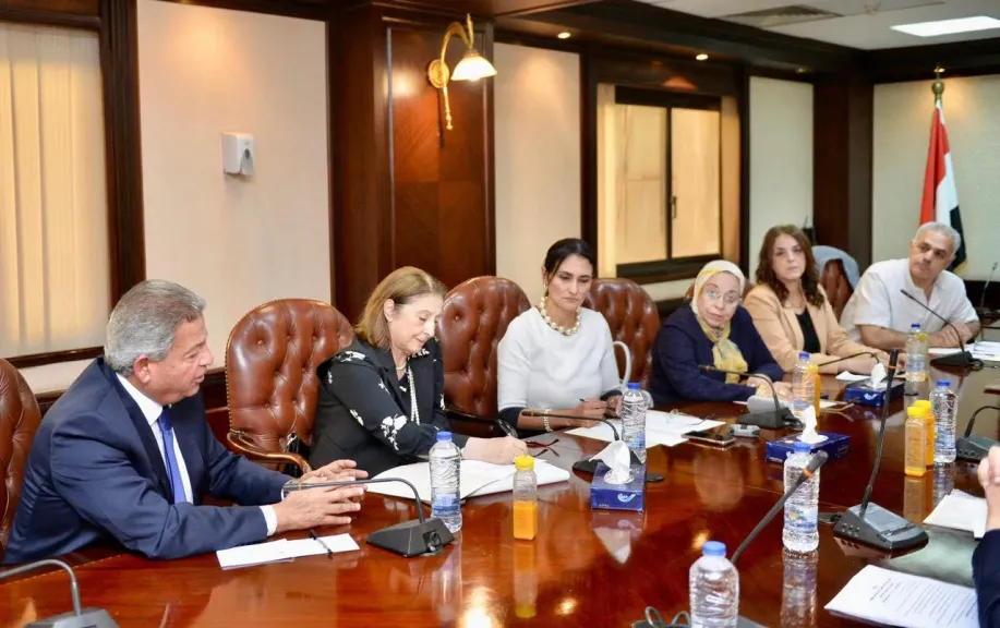 إيناس جوهر رئيسًا للجنة ”إعلام الخدمة العامة”.. وعمرو خفاجي مقررًا