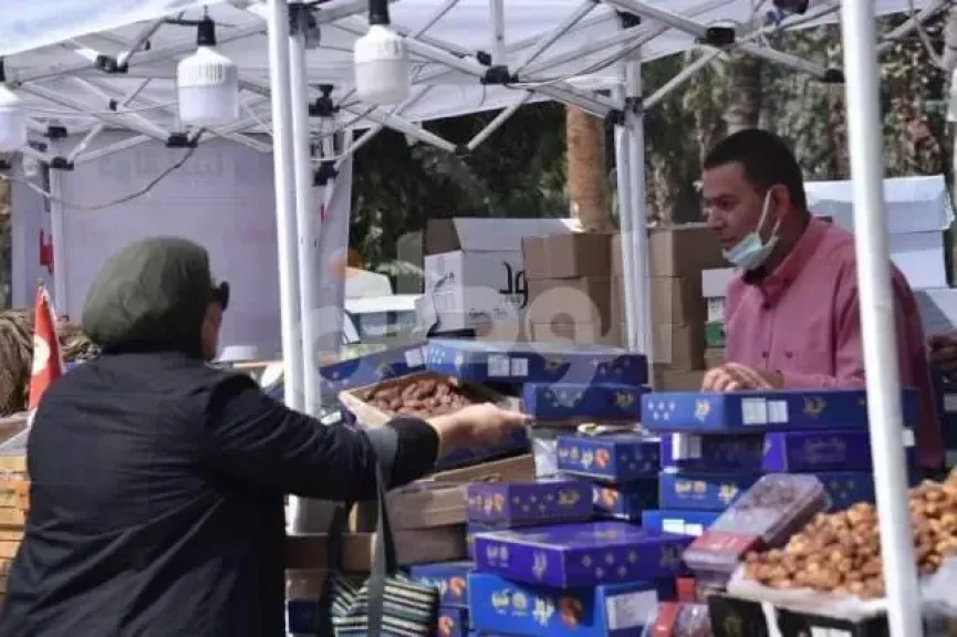 نائب محافظ الجيزة تتابع الاستعدادات لانطلاق مهرجان التمور الدولي الثامن بالواحات البحرية