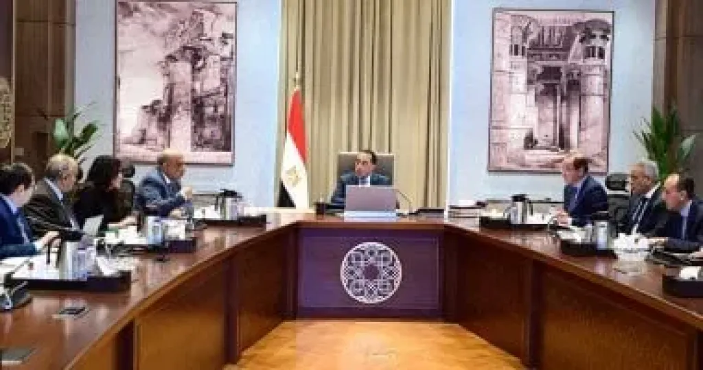 رئيس الوزراء يتابع الموقف التنفيذى والمالى لمشروع المحطة النووية بالضبعة