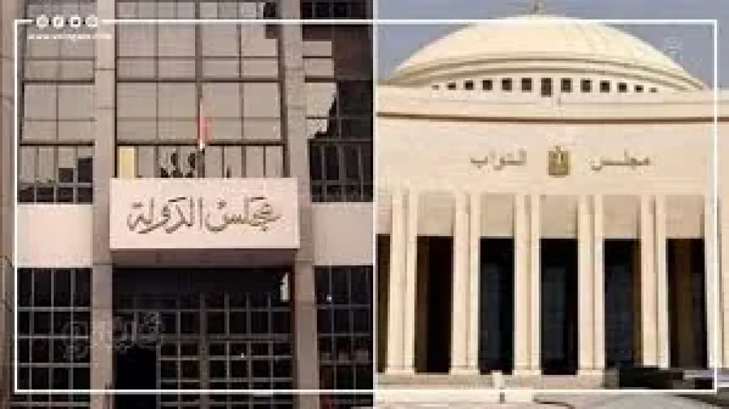 الإدارية العليا تعيد مجدي عاشور إلى سباق انتخابات النواب بالشرقية