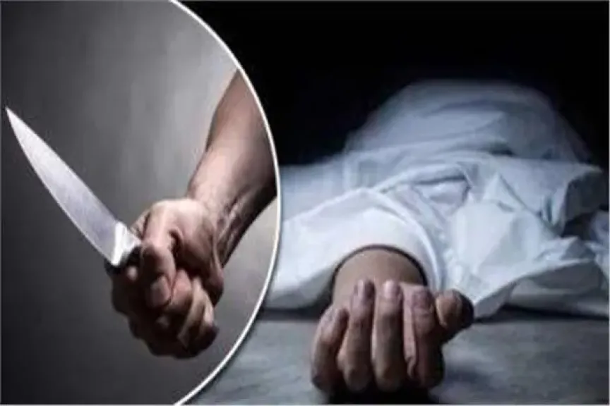 طعَنها وسط الشارع.. تفاصيل مقتل سيدة على يد طليقها بشبرا الخيمة