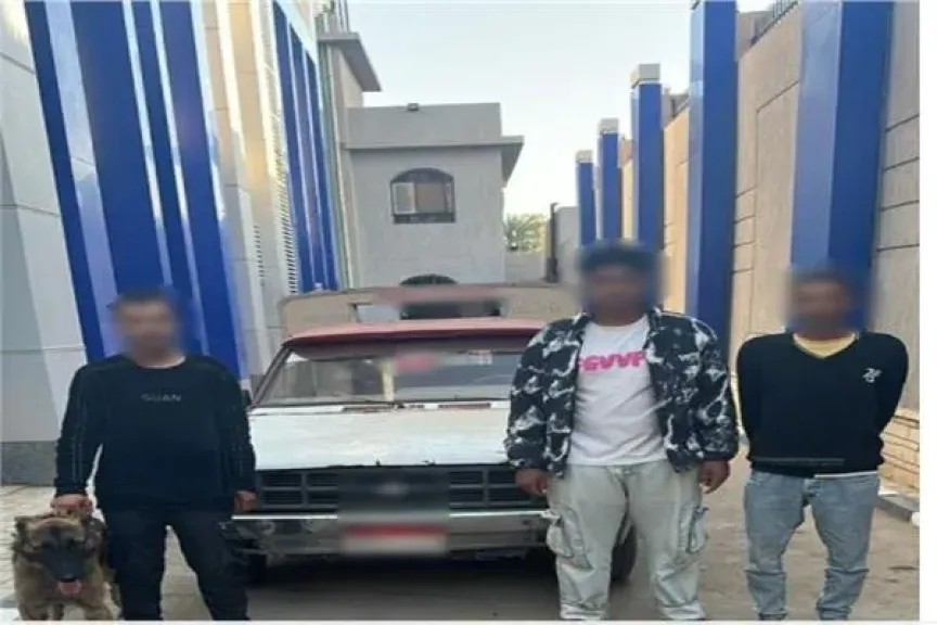 القبض على المتهمين بترويع شخص من ذوي الهمم بكلب شرس بالفيوم