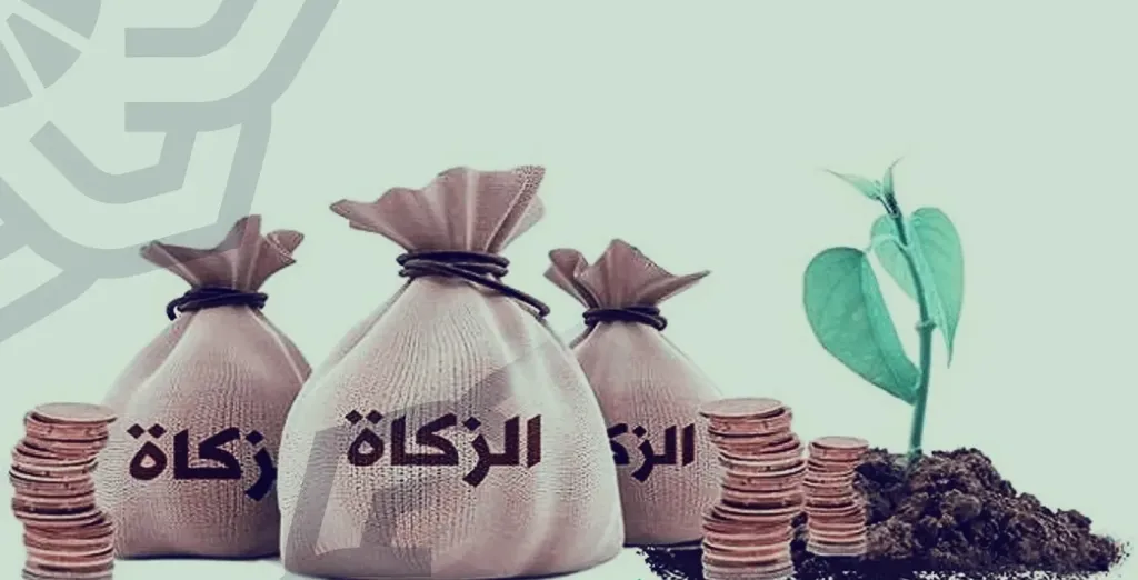 في 8 خطوات.. طريقة حساب الزكاة عن الأنشطة التجارية في 8 خطوات.. طريقة حساب الزكاة عن الأنشطة التجارية