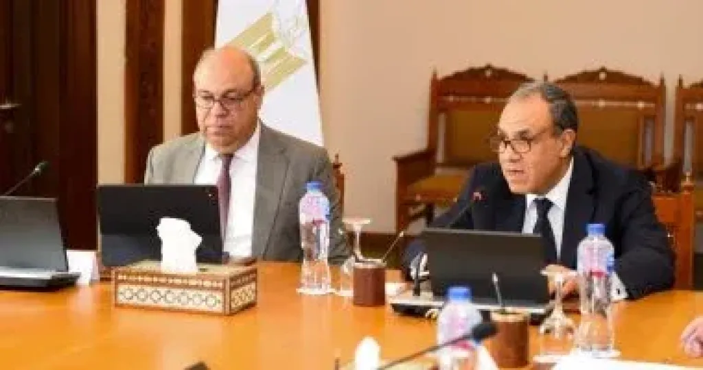 وزيرا الخارجية والطيران المدنى يستقبلان سفراء الدول الغربية والإفريقية