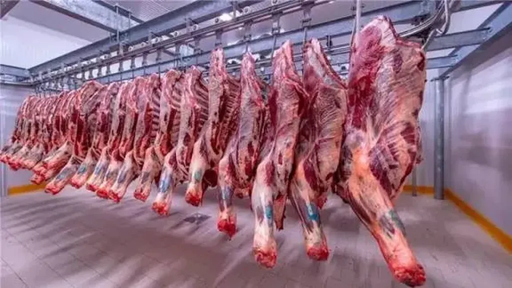 ارتفاع كبير في البتلو وانخفاض الكندوز الصغير، أسعار اللحوم اليوم بالأسواق ارتفاع كبير في البتلو وانخفاض الكندوز الصغير، أسعار اللحوم اليوم بالأسواق