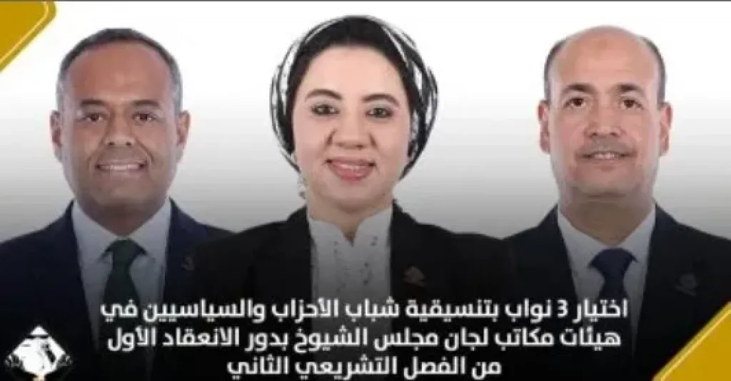 اختيار 3 نواب بتنسيقية شباب الأحزاب فى هيئات مكاتب لجان مجلس الشيوخ اختيار 3 نواب بتنسيقية شباب الأحزاب فى هيئات مكاتب لجان مجلس الشيوخ