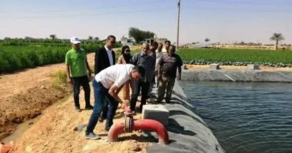 ”الزراعة” تتابع مشروعات تطوير وتحديث الرى ودعم المزارعين فى المنيا وبنى سويف ”الزراعة” تتابع مشروعات تطوير وتحديث الرى ودعم المزارعين فى المنيا وبنى سويف