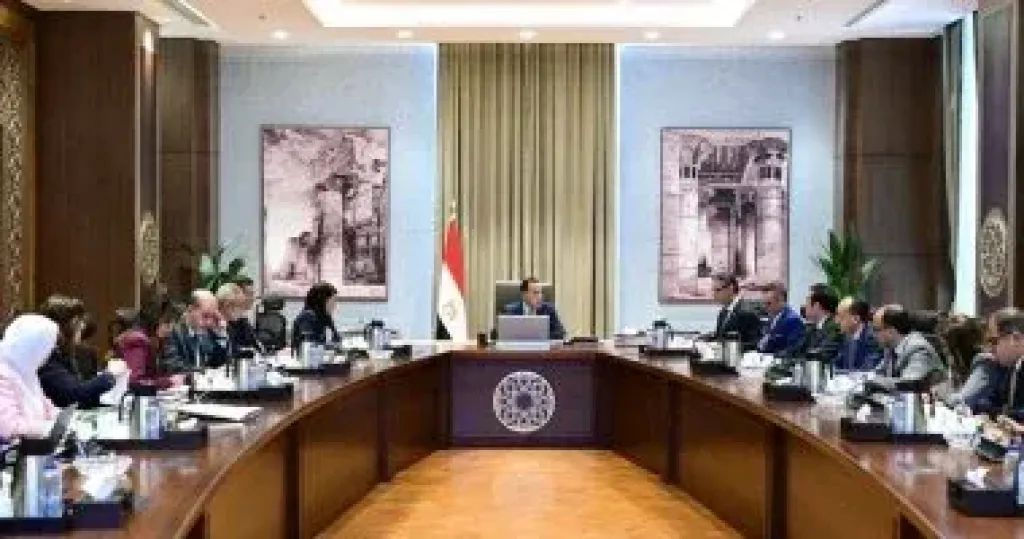 مدبولى يتابع إجراءات توفير السلع الاستراتيجية بالتنسيق بين مختلف الجهات مدبولى يتابع إجراءات توفير السلع الاستراتيجية بالتنسيق بين مختلف الجهات