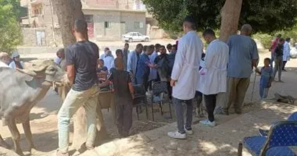 طب بيطري سوهاج تواصل إطلاق قوافلها البيطرية وتعالج 975 حيوانًا فى شطورة