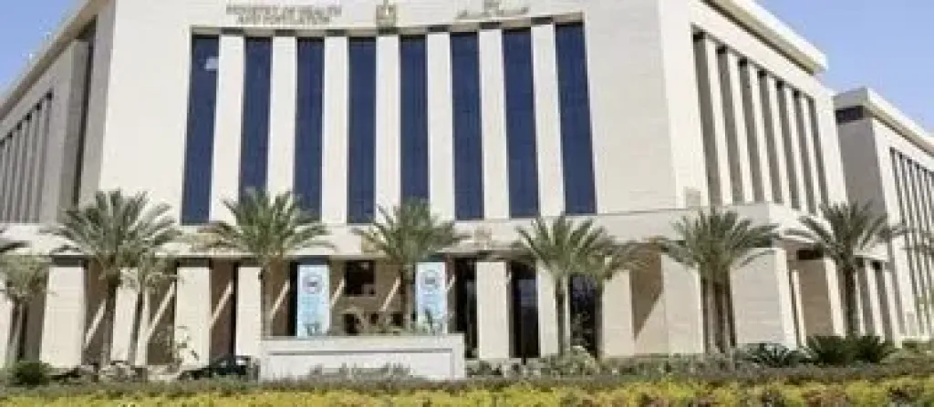 تراجع معدل المواليد إلى 18.5 طفل لكل ألف زوج.. ووزارة الصحة تستهدف... تراجع معدل المواليد إلى 18.5 طفل لكل ألف زوج.. ووزارة الصحة تستهدف 2.1 عام 2030