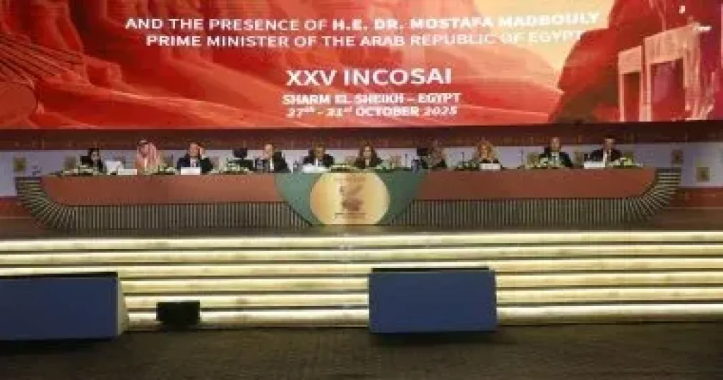 رئيس الإنتوساى يعرض رؤية مصر لقيادة مرحلة جديدة من العمل الرقابى الدولى رئيس الإنتوساى يعرض رؤية مصر لقيادة مرحلة جديدة من العمل الرقابى الدولى