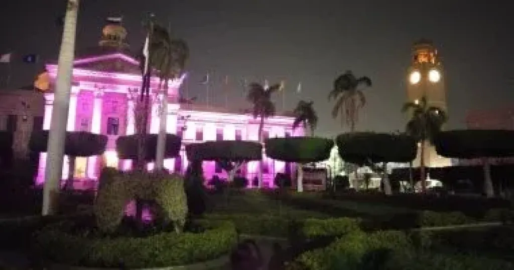 جامعة القاهرة تضئ مبناها التاريخي دعما لفاعليات مكافحة سرطان الثدي جامعة القاهرة تضئ مبناها التاريخي دعما لفاعليات مكافحة سرطان الثدي