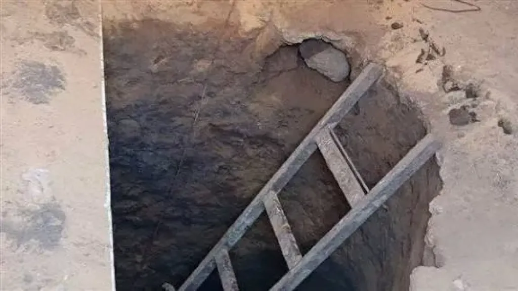 إجراء جديد ضد عصابة ”الدكتور” للتنقيب عن الآثار في مايو إجراء جديد ضد عصابة ”الدكتور” للتنقيب عن الآثار في مايو