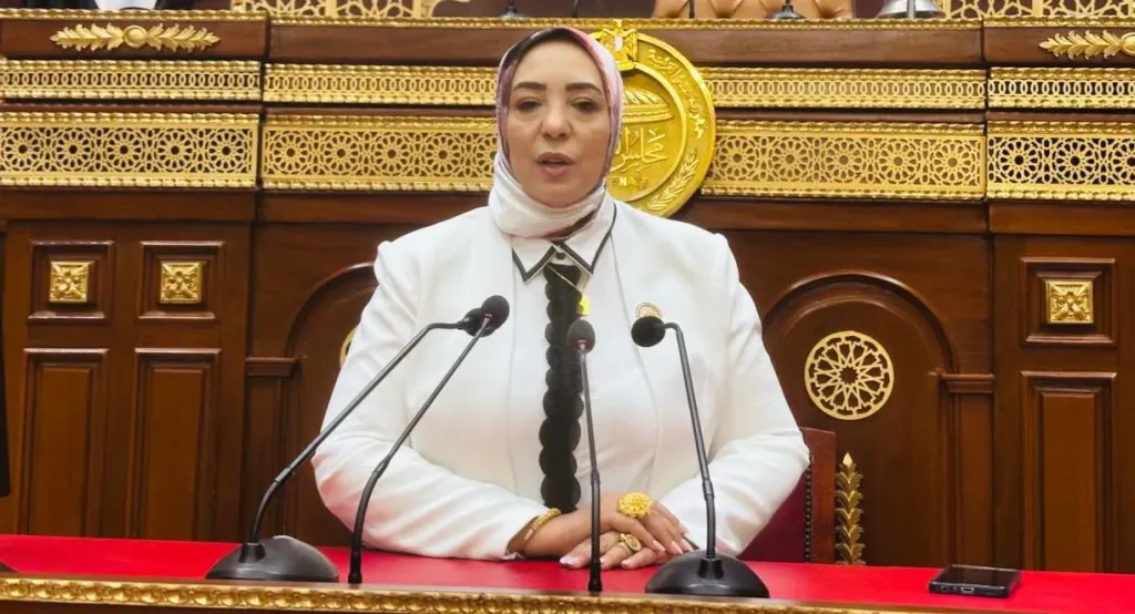 وفاء رشاد : افتتاح المتحف المصري احتفال بالهوية المصرية ورسالة سلام من... وفاء رشاد : افتتاح المتحف المصري احتفال بالهوية المصرية ورسالة سلام من أرض الكنانة