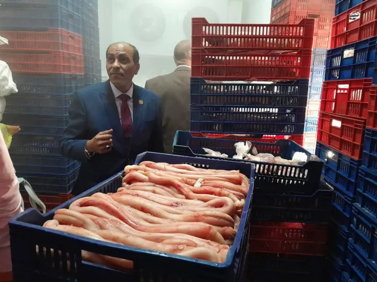 تموين القليوبية يضبط 157 مخالفة خلال يومين ويحقق في شكاوى المواطنين تموين القليوبية يضبط 157 مخالفة خلال يومين ويحقق في شكاوى المواطنين