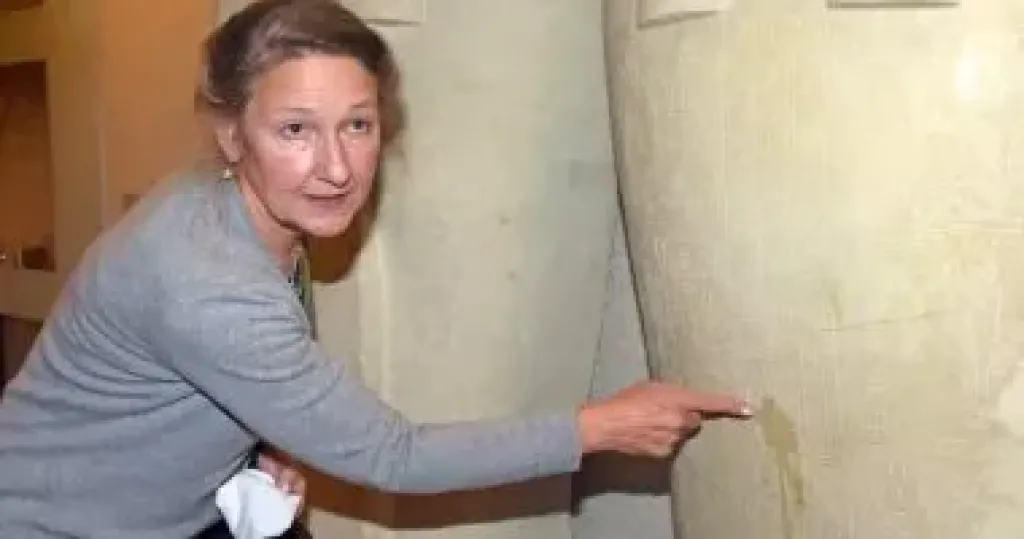 مديرة متحف مصر ببرلين: المتحف المصري الكبير حدث استثنائي لا مثيل له عالميا