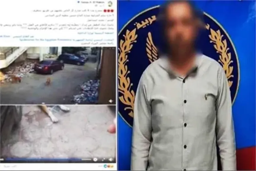 القبض على المتهم بتقديم طعام فاسد للكلاب بمنطقة الشرابية