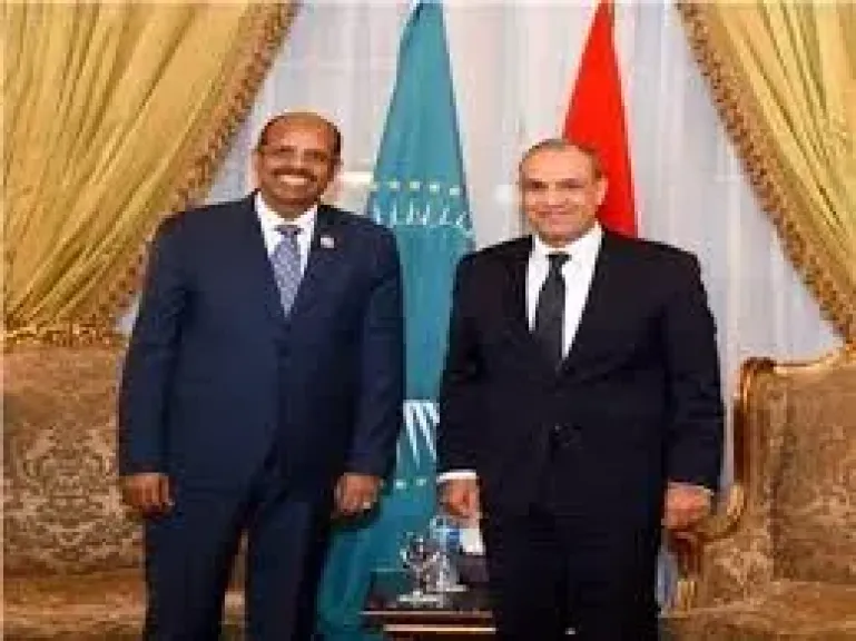 وزير الخارجية يبحث ترتيبات نشر القوات المصرية لدعم الاستقرار فى الصومال