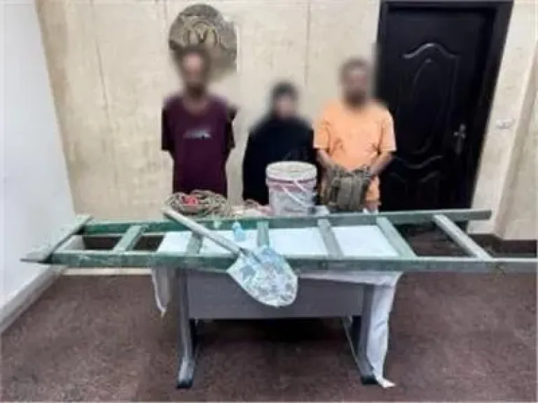 ضبط 3 أشخاص لقيامهم بأعمال الحفر والتنقيب غير المشروع عن الآثار بالجمالية