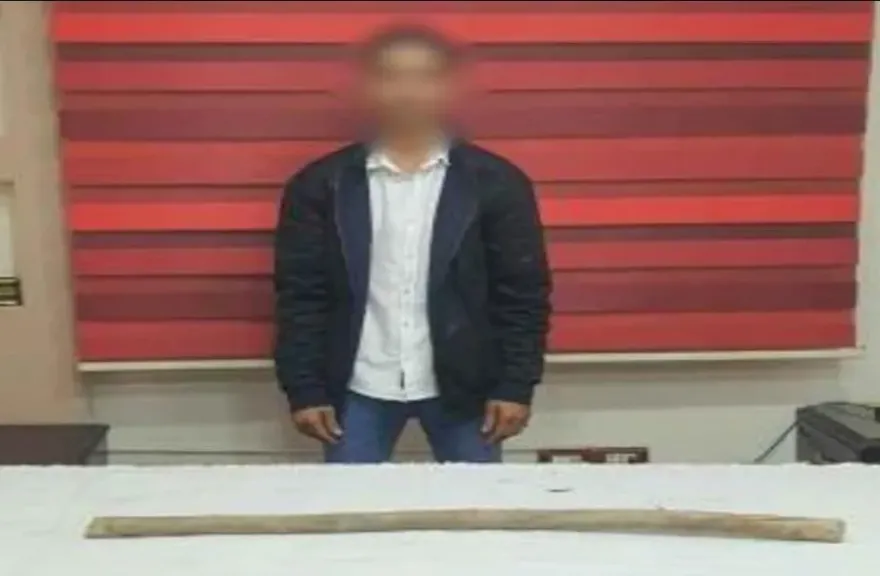 القبض على شخص اعتدى على عمته بعصا خشبية في الفيوم